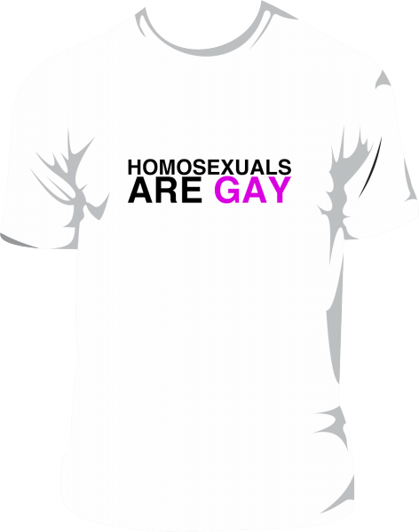 Camiseta - Homoseuxuals are gay